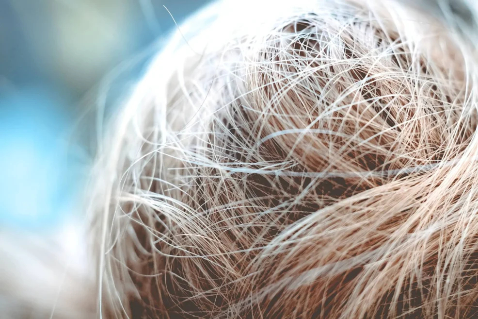 Olejowanie włosów wysokoporowatych – ratunek dla wysokoporów