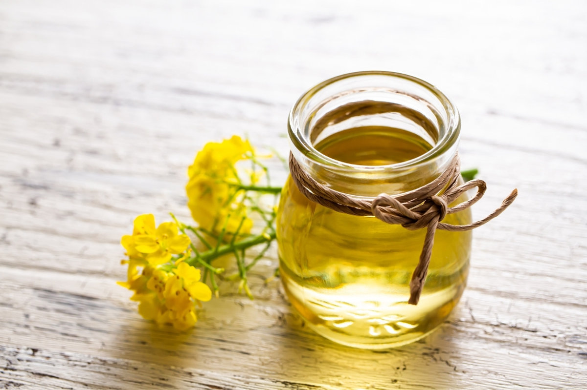 Olej rzepakowy na włosy – co daje?