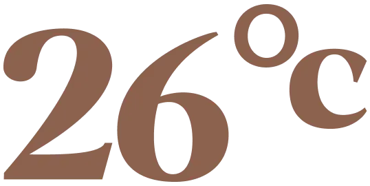 26°C
