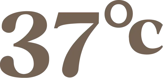 37°C